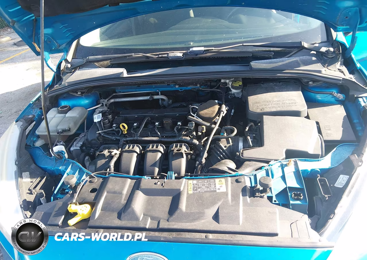 2015 Ford Focus Se VIN:1FADP3K2XFL249867 - 10