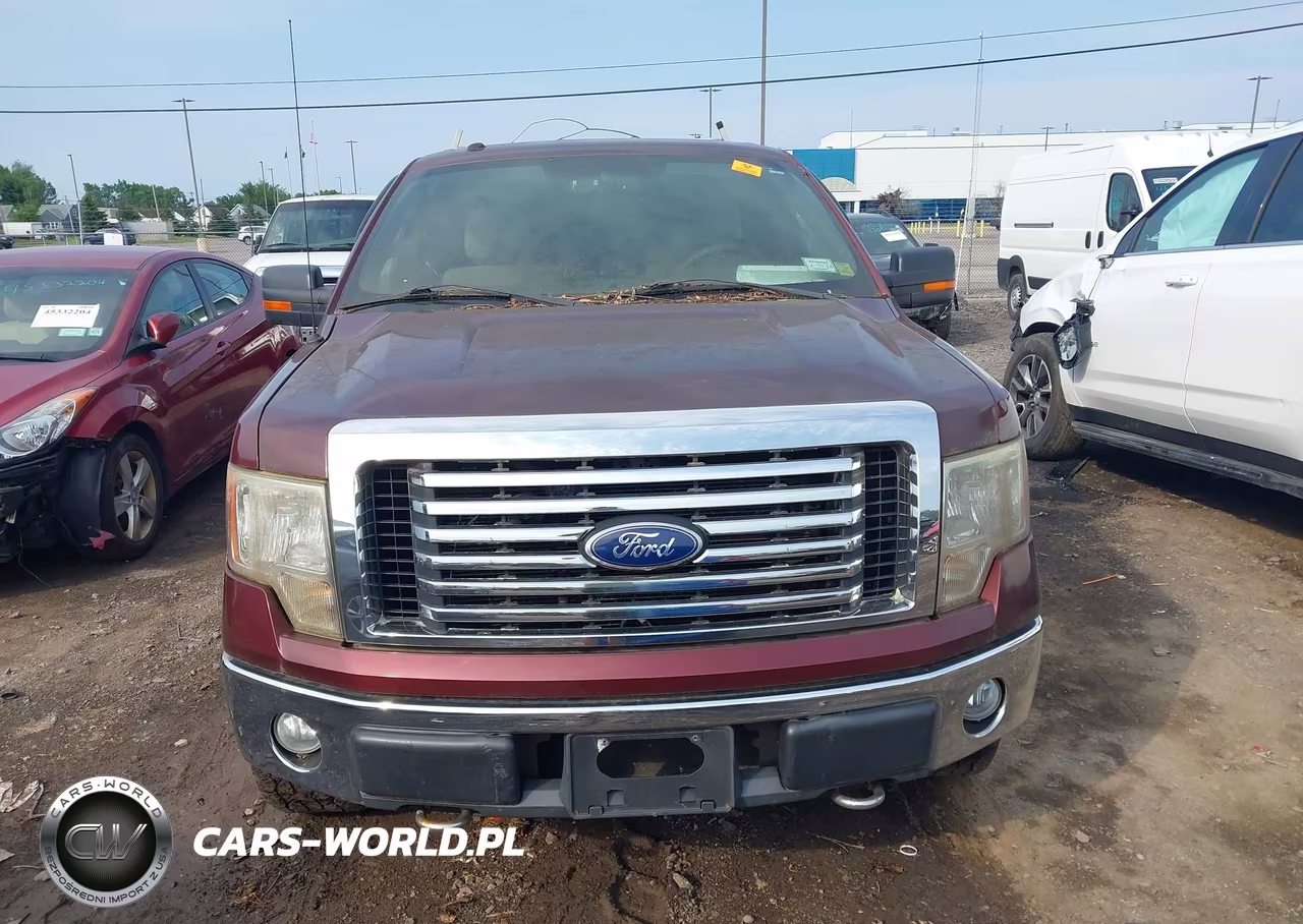 2010 Ford F-150 Stx-Xl-Xlt VIN:1FTEX1E83AFC76628 - 12