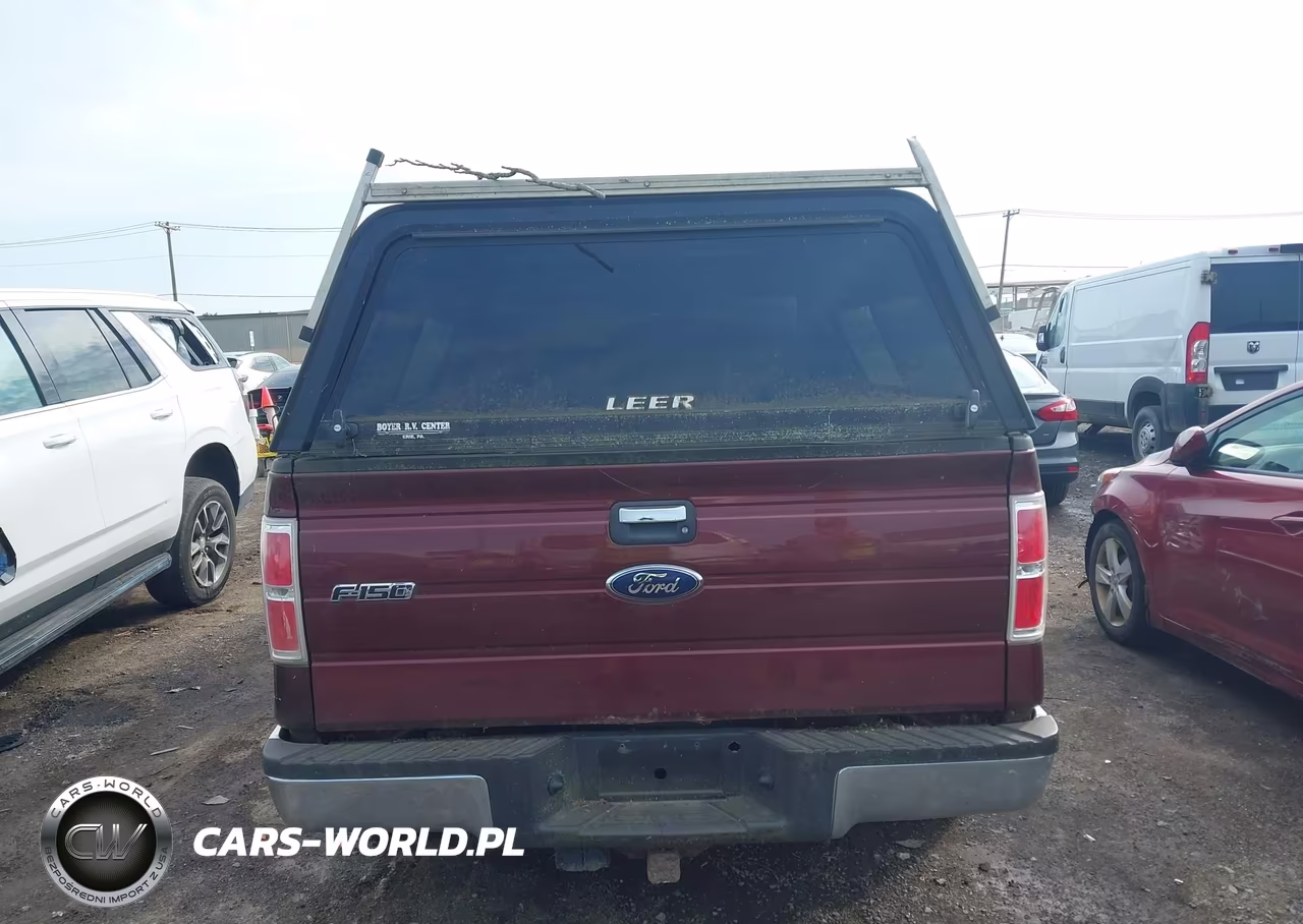 2010 Ford F-150 Stx-Xl-Xlt VIN:1FTEX1E83AFC76628 - 16