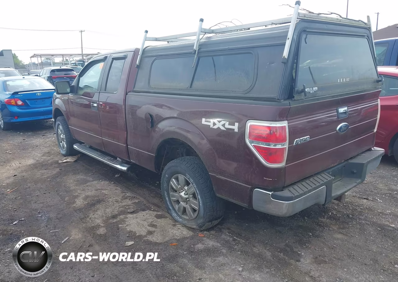2010 Ford F-150 Stx-Xl-Xlt VIN:1FTEX1E83AFC76628 - 3