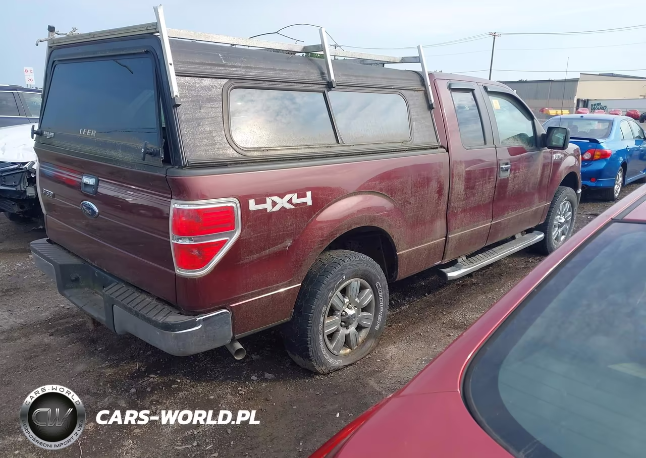 2010 Ford F-150 Stx-Xl-Xlt VIN:1FTEX1E83AFC76628 - 4