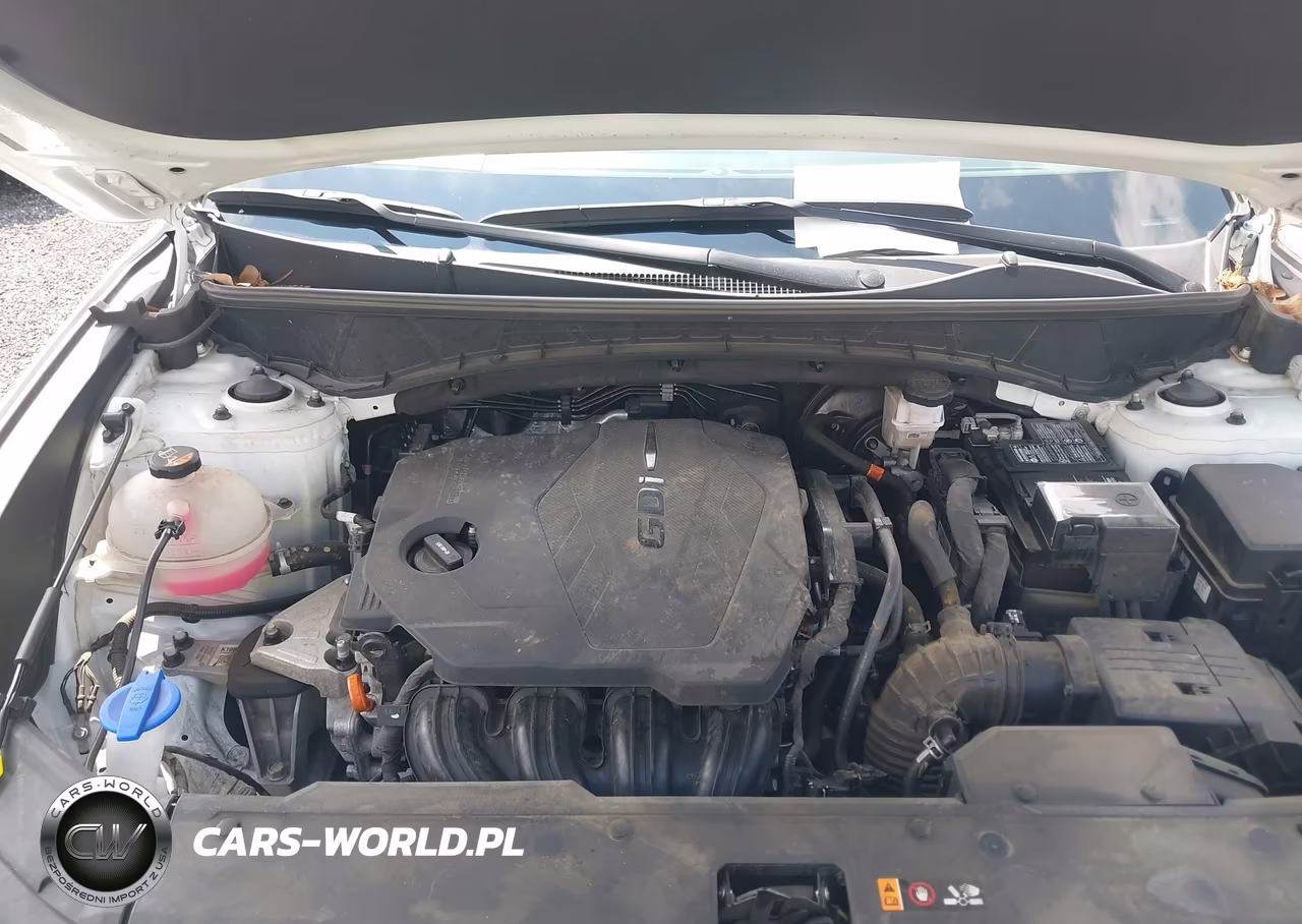 2024 Hyundai Tucson Sel VIN:5NMJB3DE9RH343053 - 10