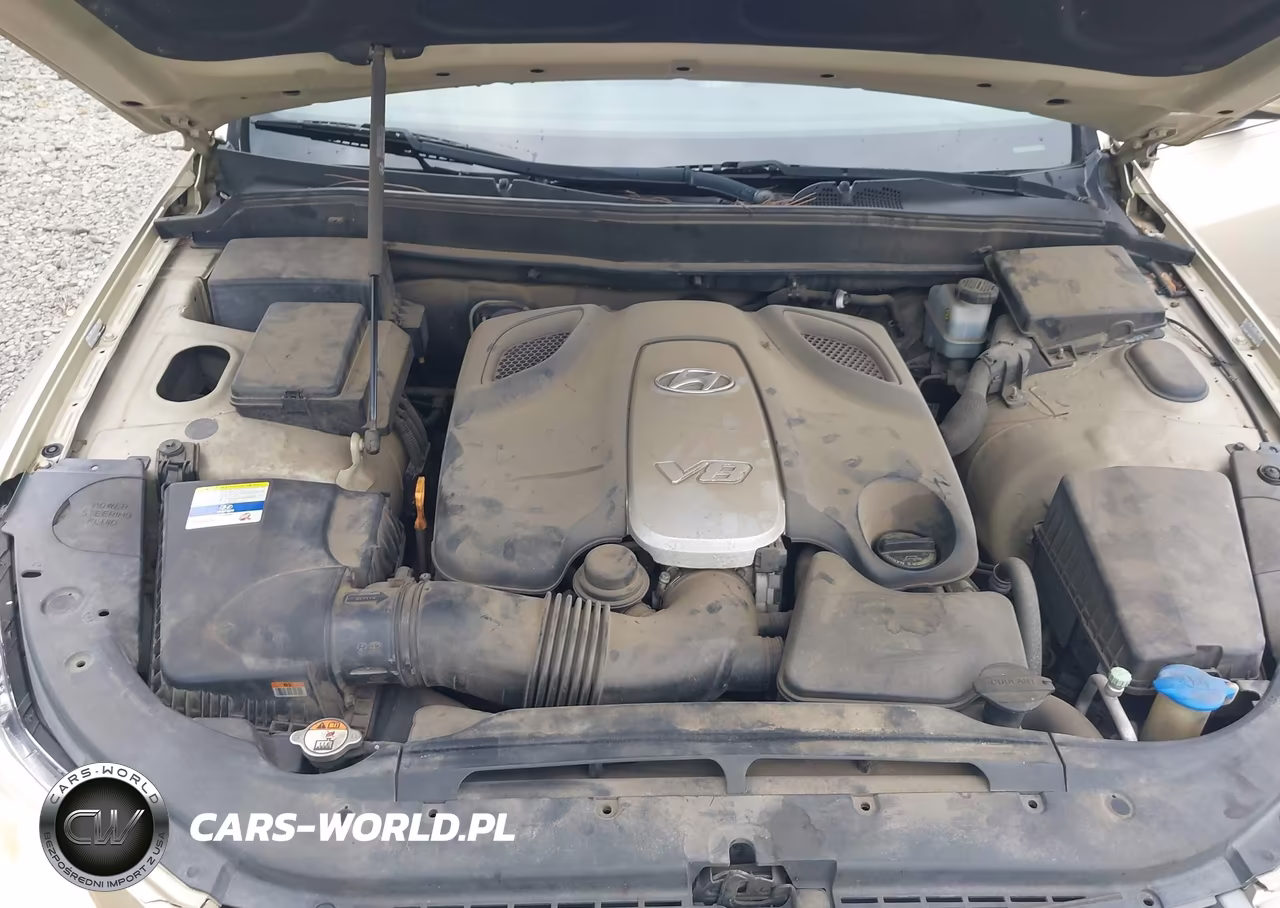 2012 Hyundai Genesis 4.6 VIN:KMHGC4DF3CU172530 - 10