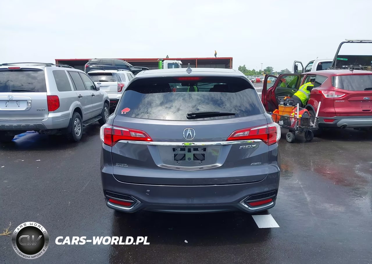 2017 Acura Rdx Acurawatch Plus Package VIN:5J8TB4H36HL004790 - 16