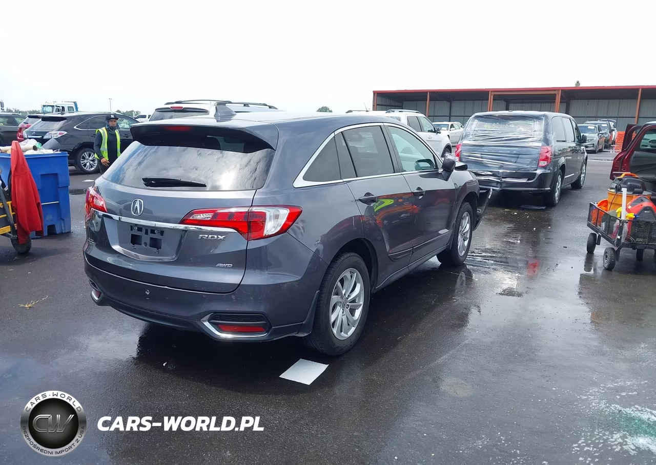 2017 Acura Rdx Acurawatch Plus Package VIN:5J8TB4H36HL004790 - 4