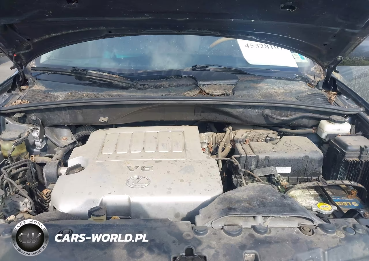 2009 Lexus Rx 350 VIN:2T2HK31U89C109997 - 10