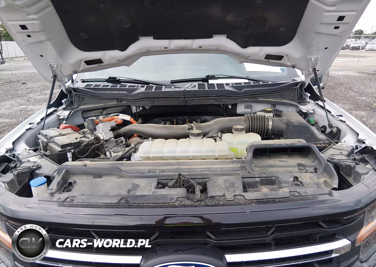 2024 Ford F-150 Xlt VIN:1FTFW3LD0RFA09686 - 10