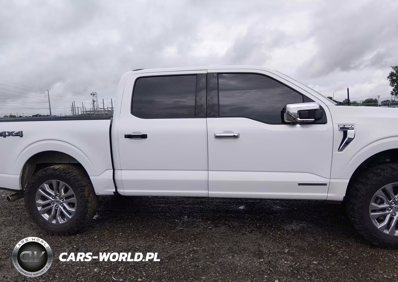 2024 Ford F-150 Xlt VIN:1FTFW3LD0RFA09686 - 14