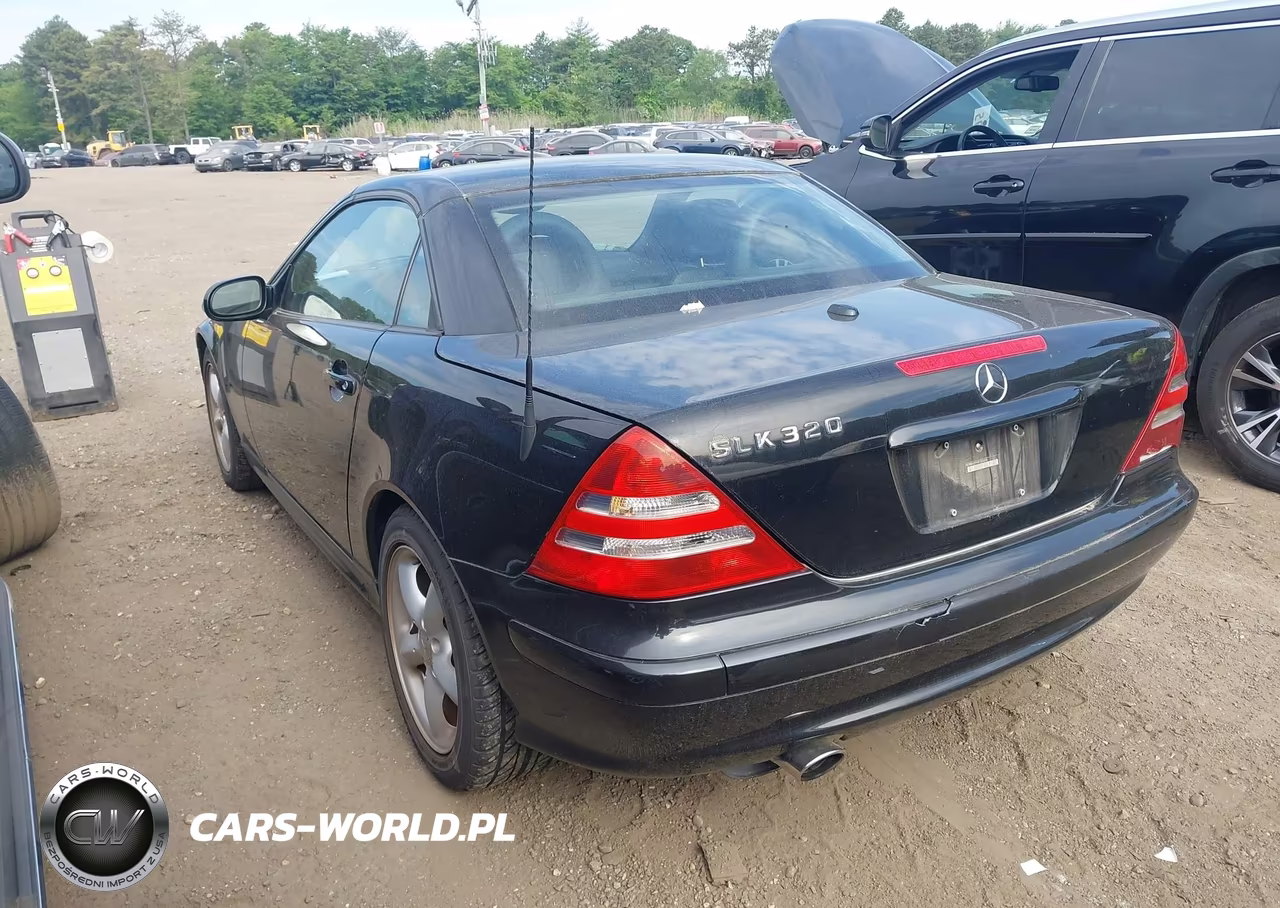 2004 Mercedes-Benz Slk 320 VIN:WDBKK65F44F305246 - 3