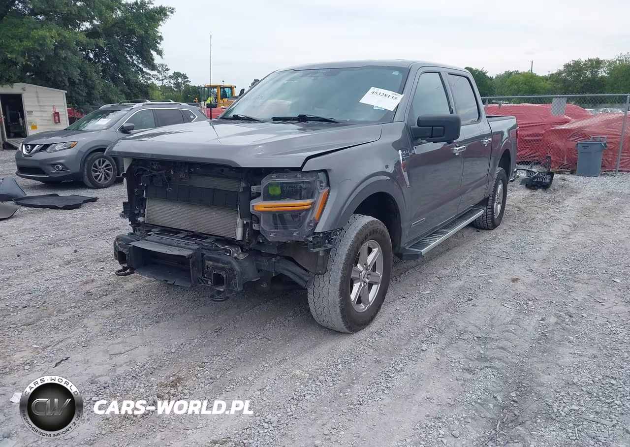 2024 Ford F-150 Xlt VIN:1FTFW3LD7RFA89343 - 2