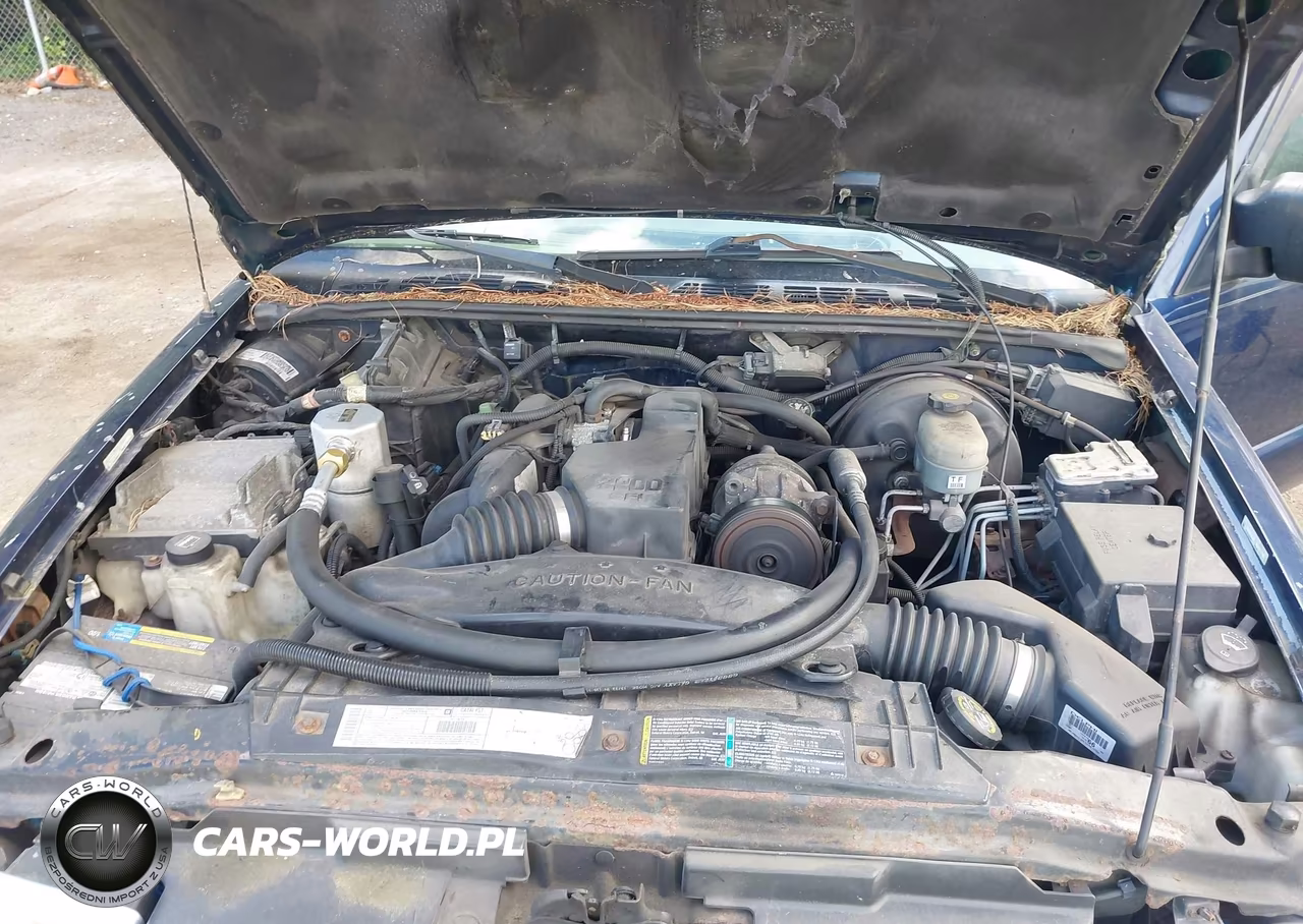 2002 Chevrolet S-10 Ls VIN:1GCCS195X28218544 - 10