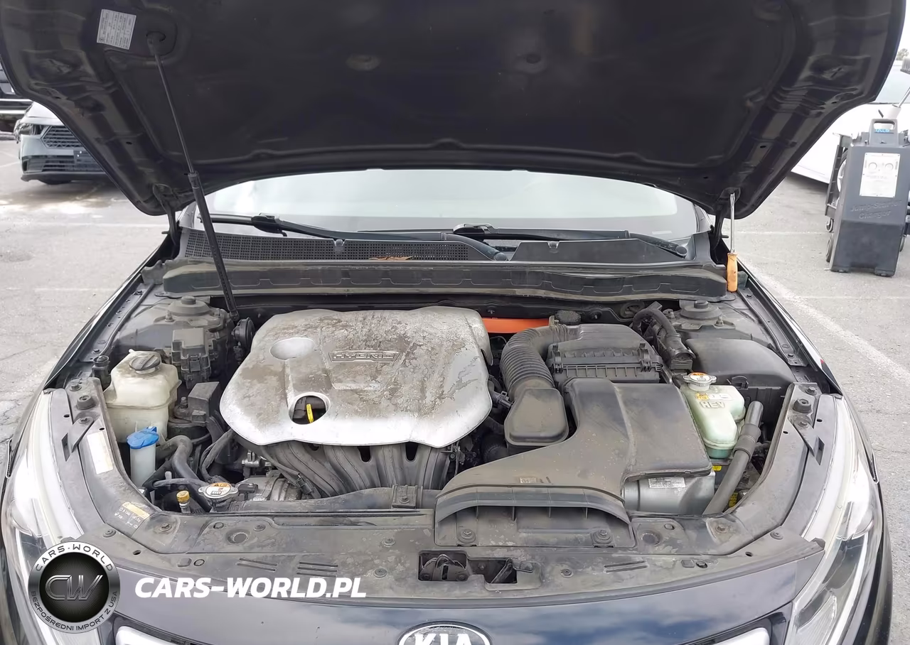 2013 Kia Optima Hybrid Lx VIN:KNAGM4AD2D5054272 - 10