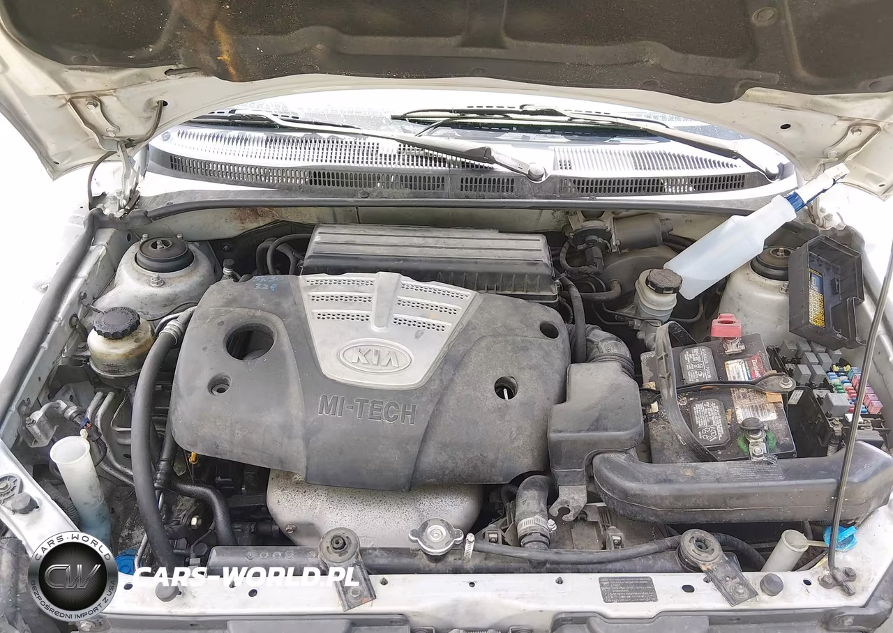 2005 Kia Rio VIN:KNADC125656380891 - 10