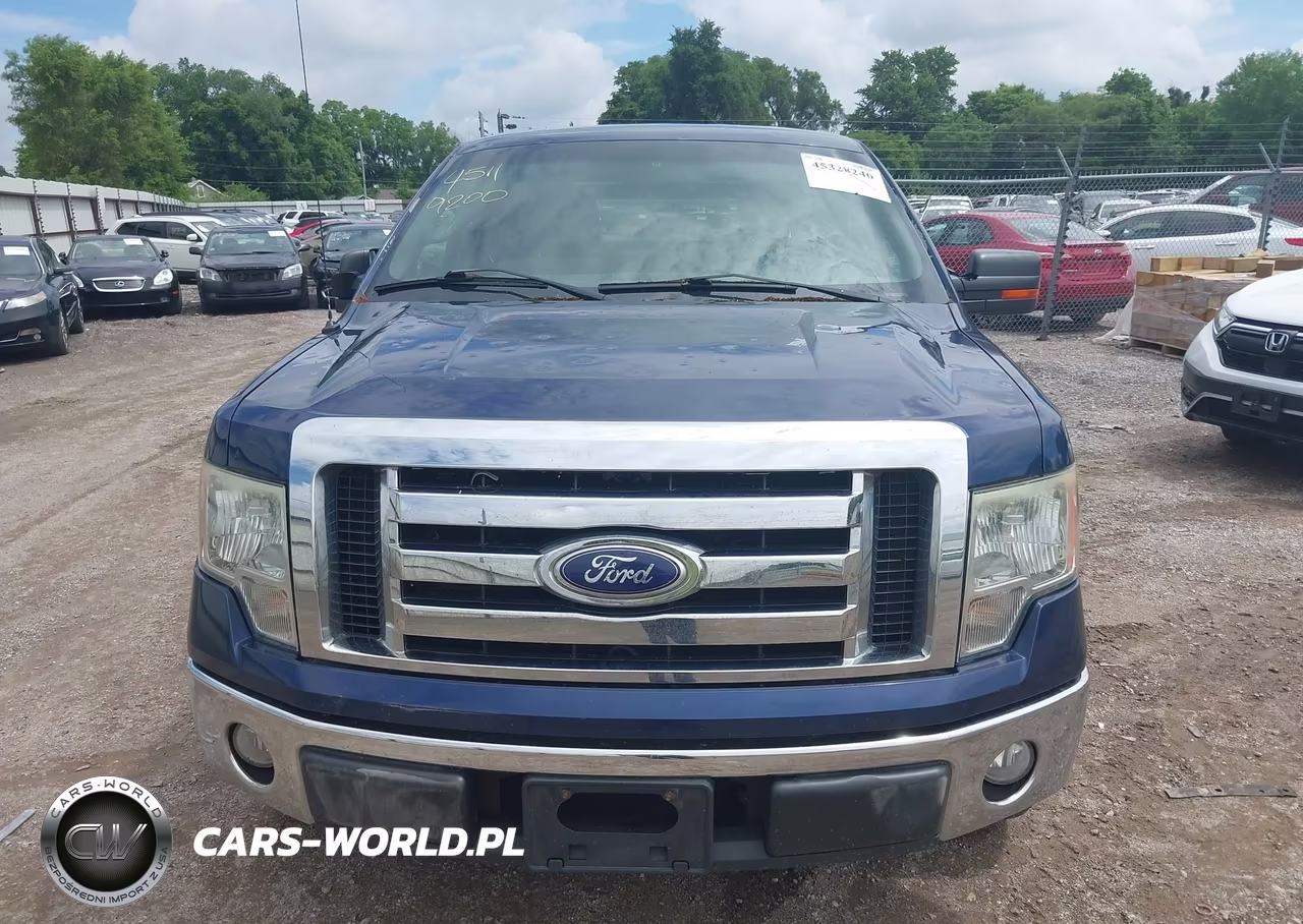 2010 Ford F-150 Xlt VIN:1FTEX1C80AFA23057 - 12