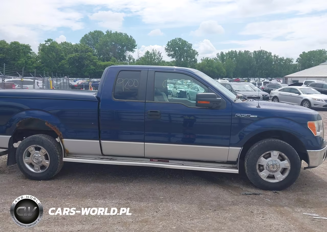 2010 Ford F-150 Xlt VIN:1FTEX1C80AFA23057 - 13