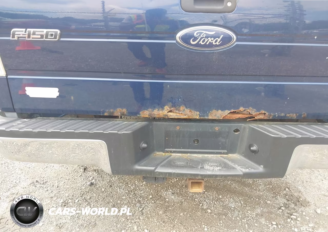 2010 Ford F-150 Xlt VIN:1FTEX1C80AFA23057 - 17