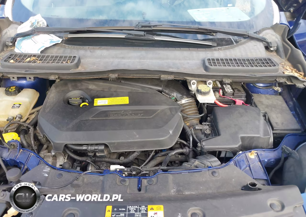 2013 Ford Escape Se VIN:1FMCU0GX8DUC47068 - 10