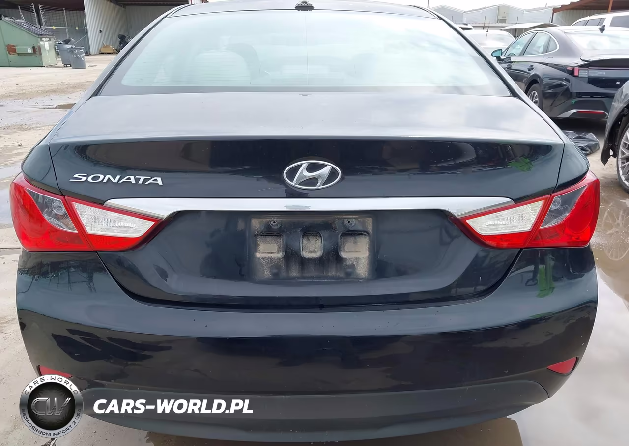 2014 Hyundai Sonata Gls VIN:5NPEB4AC6EH924971 - 16