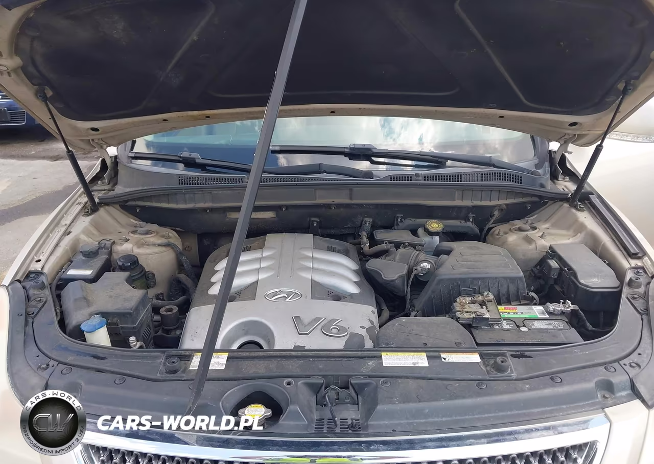 2007 Hyundai Veracruz VIN:KM8NU73C37U013736 - 10