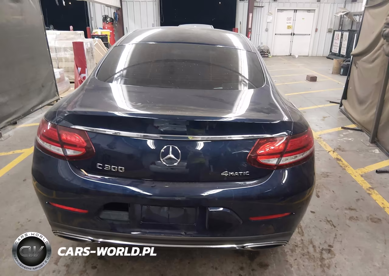 2019 Mercedes-Benz C 300 4Matic VIN:WDDWJ8EB1KF770956 - 16