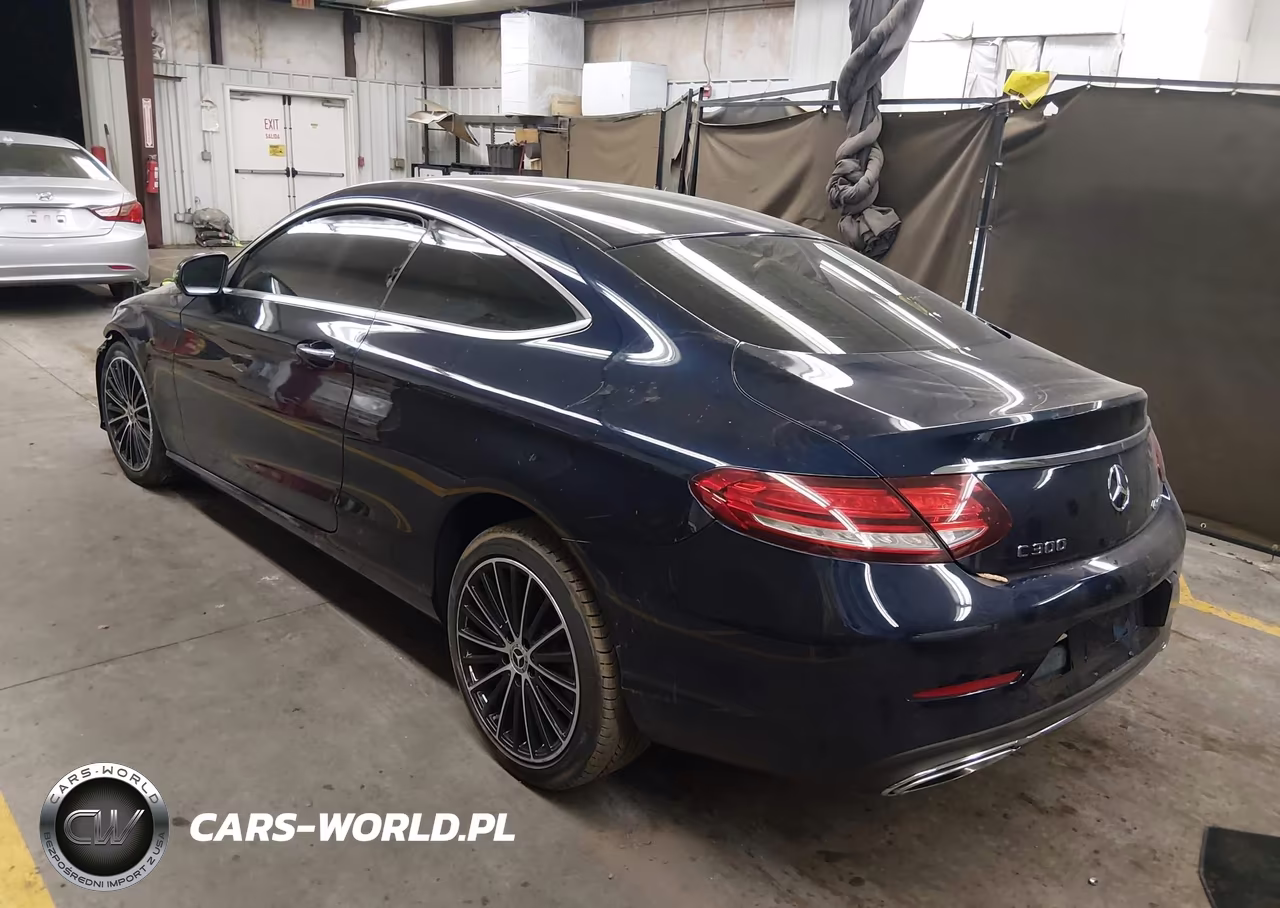 2019 Mercedes-Benz C 300 4Matic VIN:WDDWJ8EB1KF770956 - 3