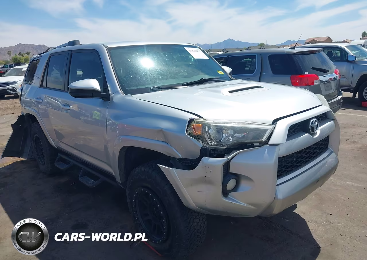 2017 Toyota 4Runner Trd Off Road VIN:JTEBU5JR1H5438317 - 18
