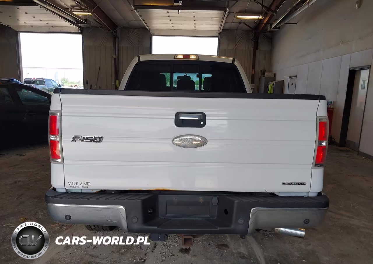2011 Ford F-150 Xlt VIN:1FTFX1EF9BFB48298 - 16