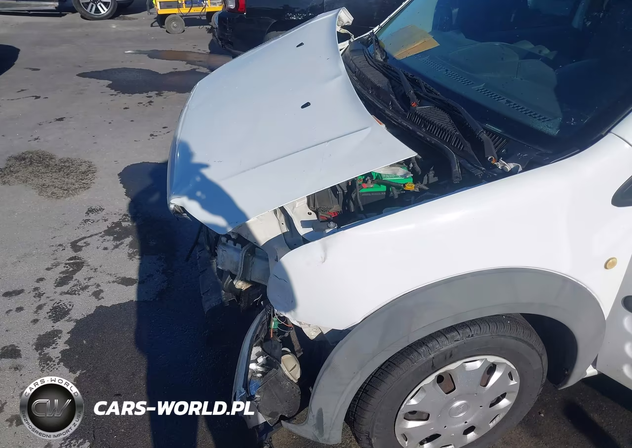 2010 Ford Transit Connect Xlt VIN:NM0LS7DN4AT027785 - 19