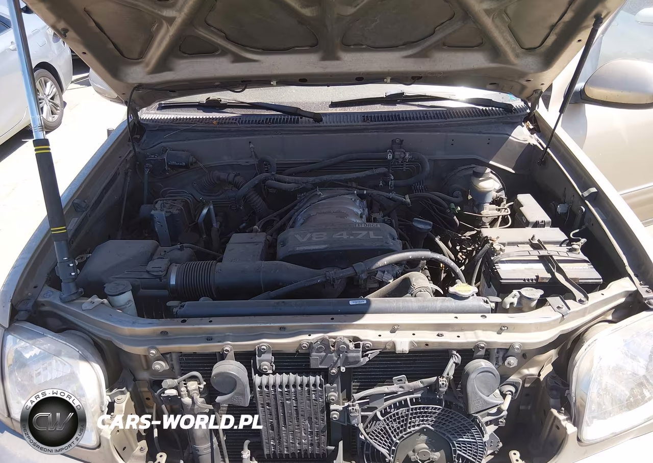 2002 Toyota Sequoia Sr5 V8 VIN:5TDZT34AX2S088154 - 10