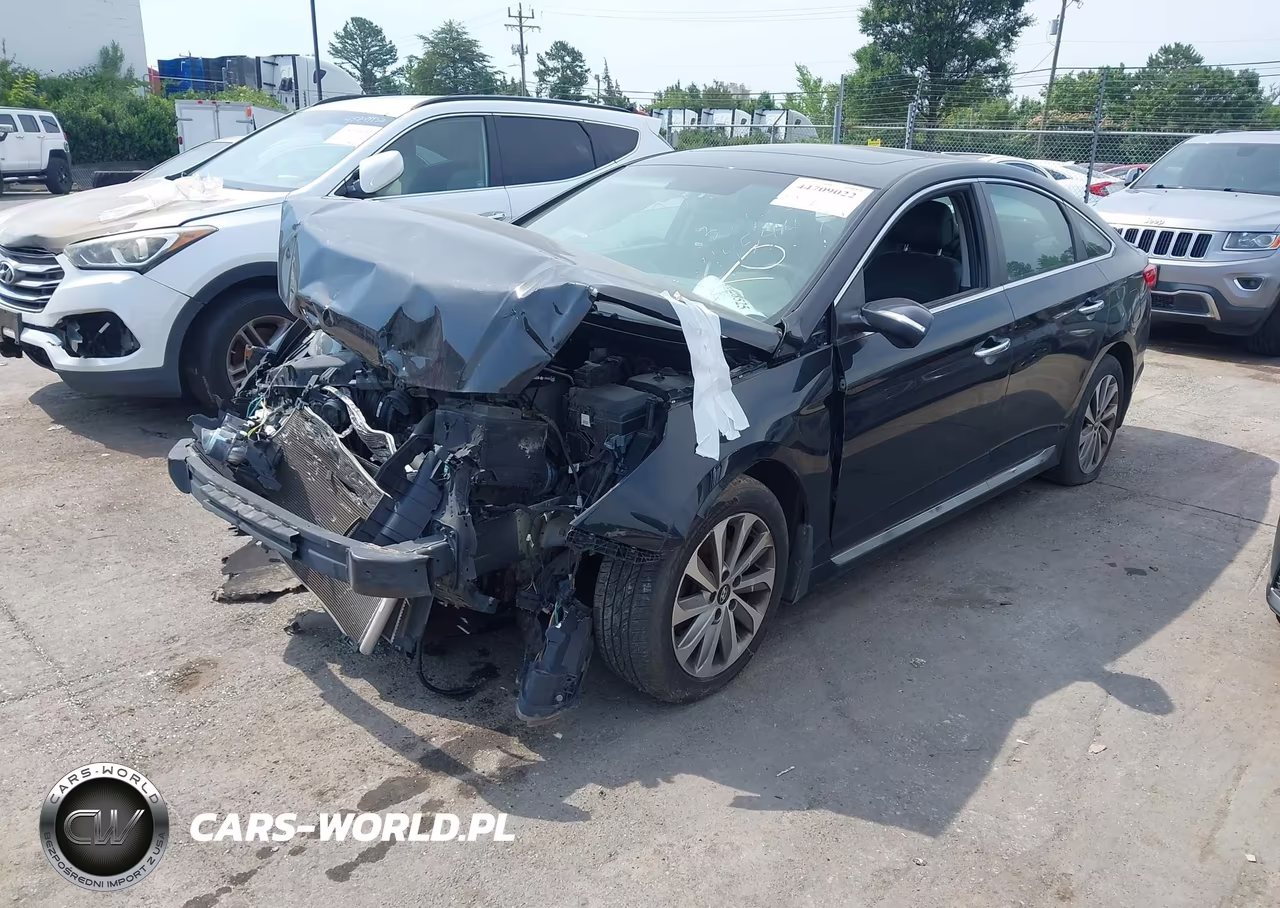 2017 Hyundai Sonata Sport VIN:5NPE34AFXHH445447 - 2