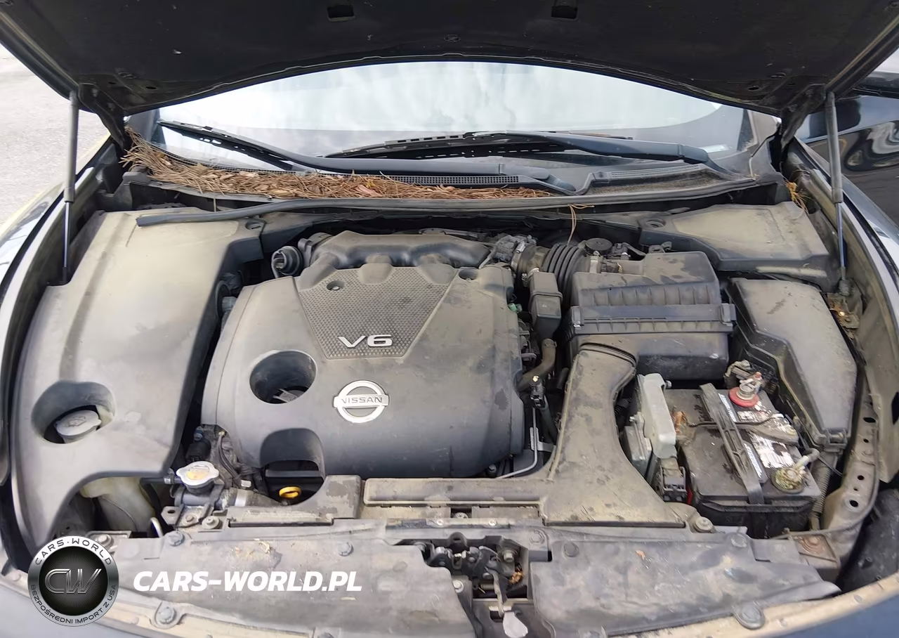 2014 Nissan Maxima 3.5 S-3.5 Sv VIN:1N4AA5AP3EC491282 - 10