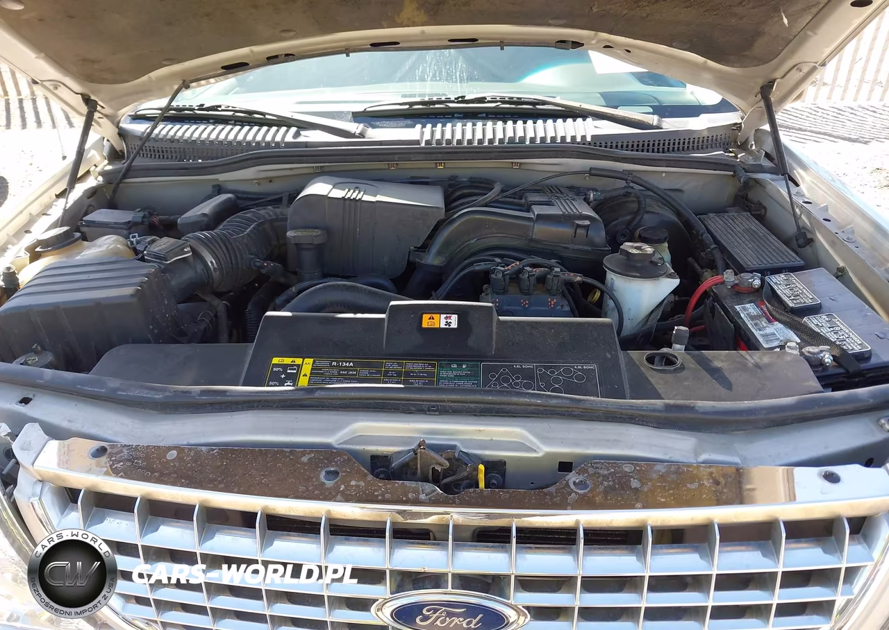 2003 Ford Explorer Xlt-Xlt Sport-Nbx VIN:1FMDU73E13ZB05406 - 10