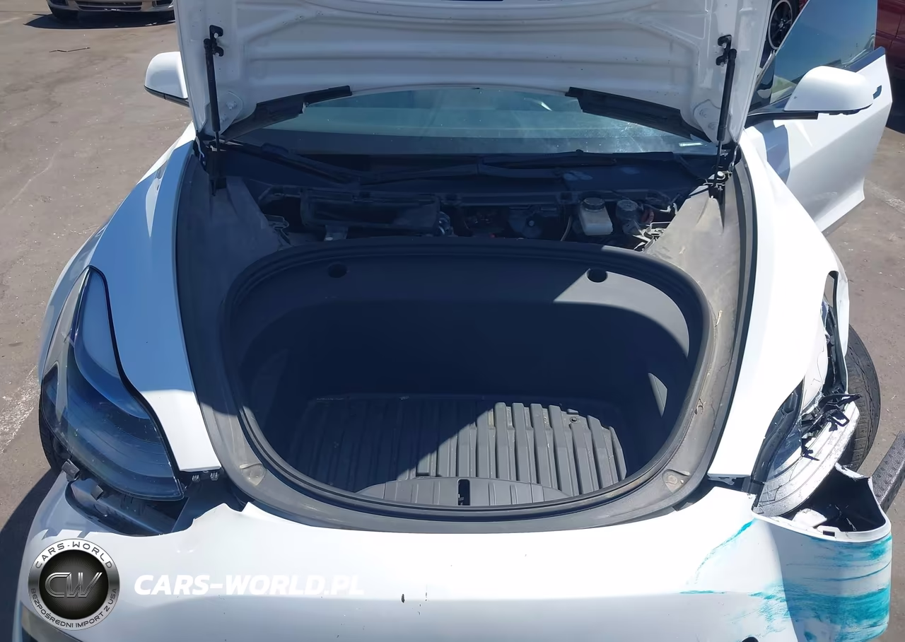 2023 Tesla Model 3 Rear-Wheel Drive VIN:5YJ3E1EA5PF448302 - 10