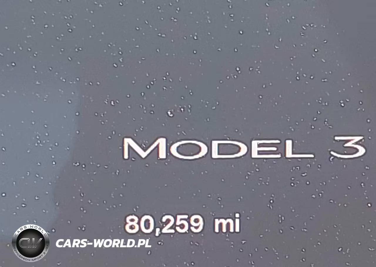 2023 Tesla Model 3 Rear-Wheel Drive VIN:5YJ3E1EA5PF448302 - 14