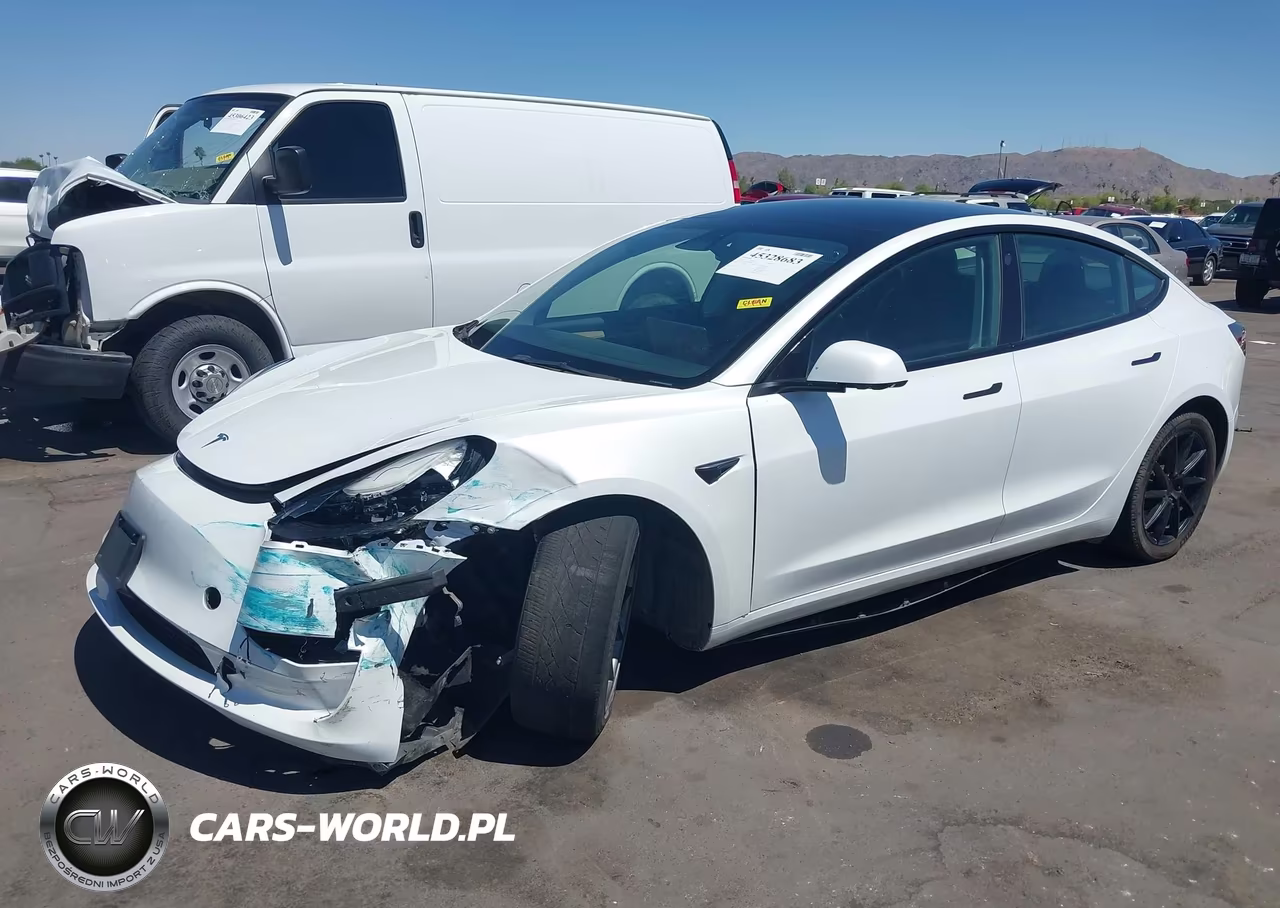2023 Tesla Model 3 Rear-Wheel Drive VIN:5YJ3E1EA5PF448302 - 2