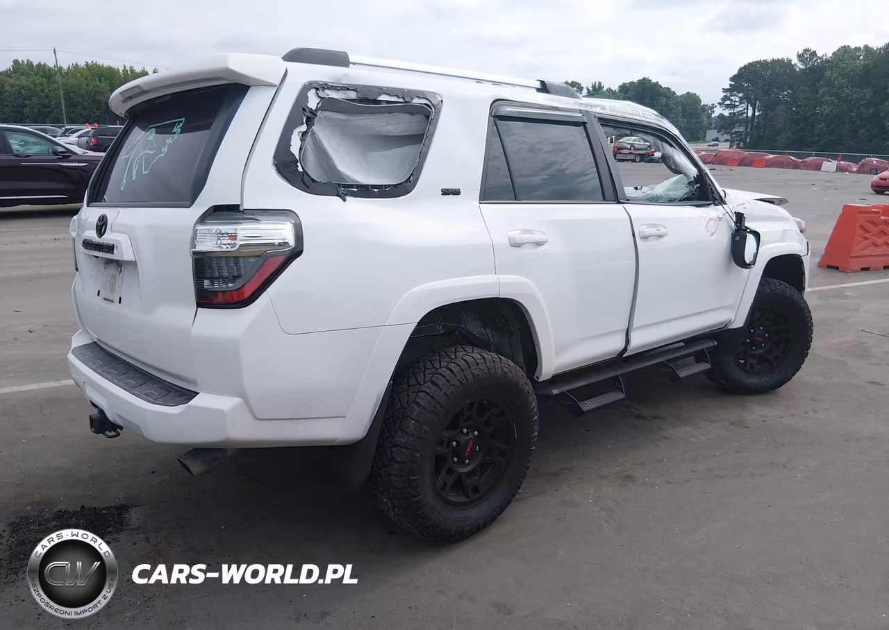 2019 Toyota 4Runner Sr5 Premium VIN:JTEBU5JR2K5731814 - 4