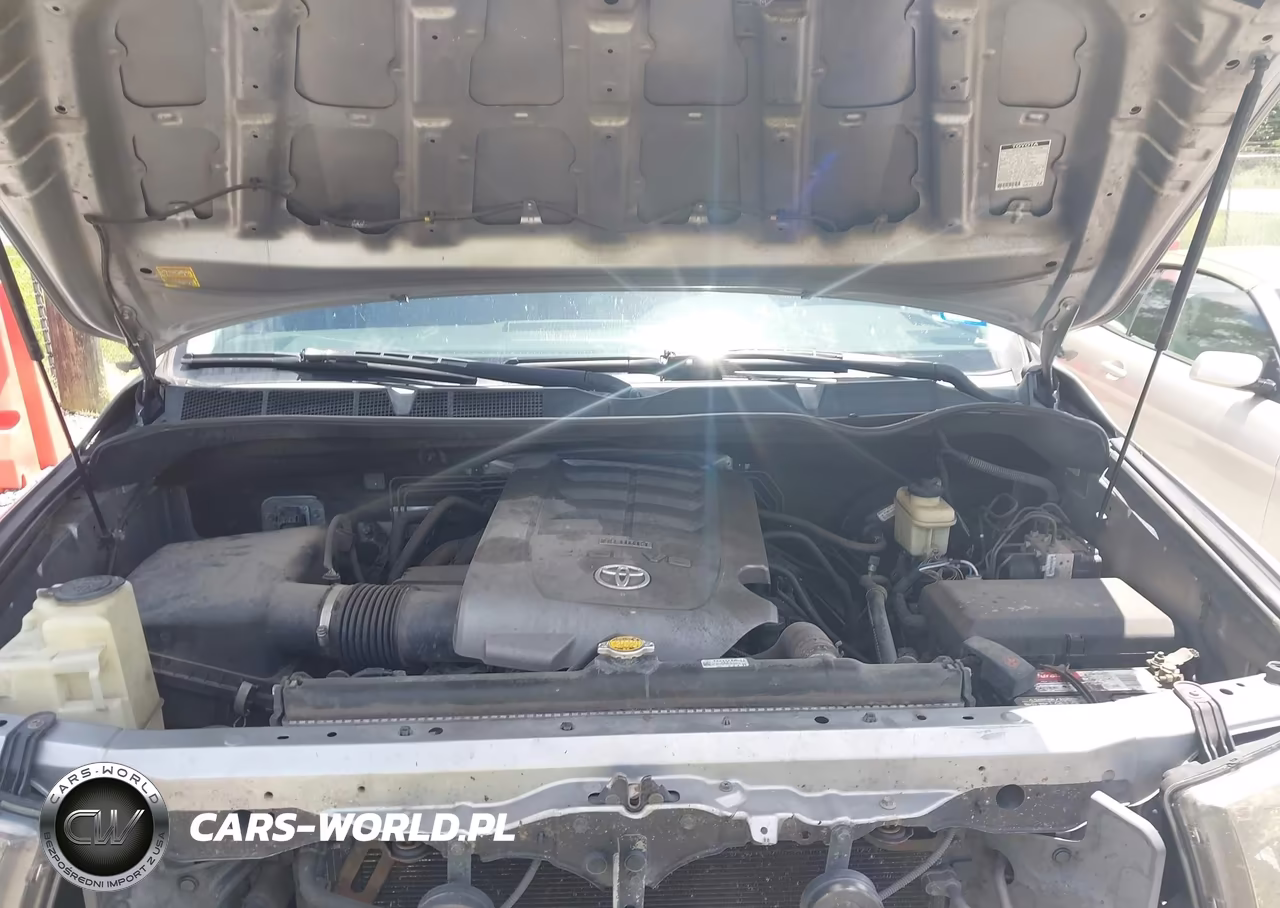 2010 Toyota Tundra Grade 4.6L V8 VIN:5TFRM5F15AX003655 - 10