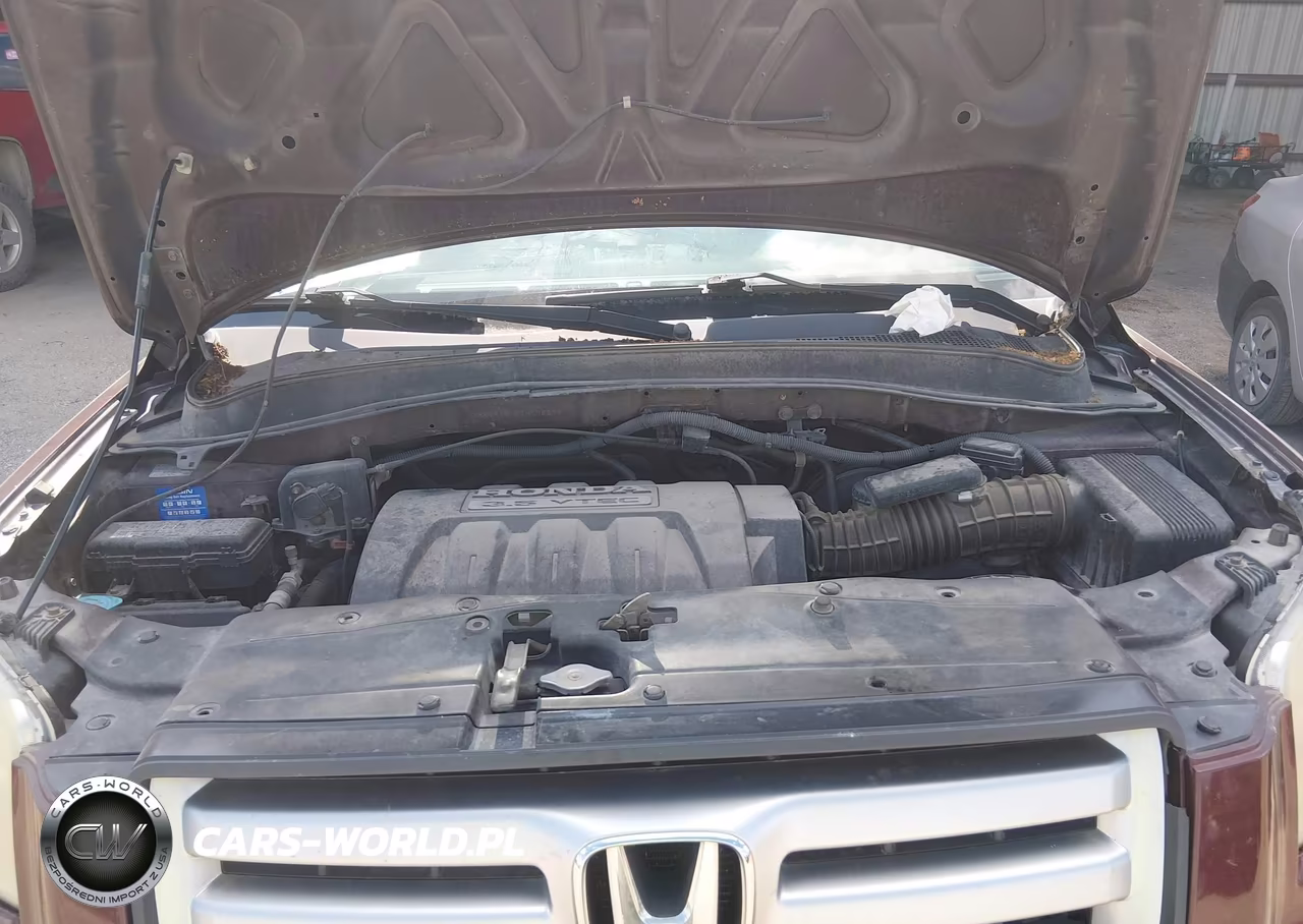 2007 Honda Pilot Ex VIN:2HKYF18457H538379 - 10