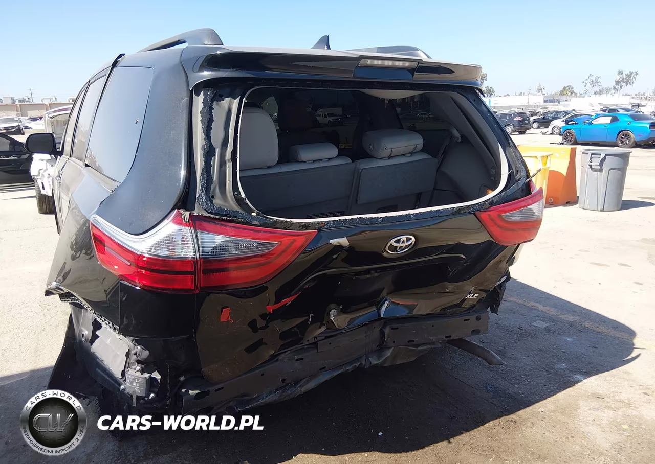 2020 Toyota Sienna Xle VIN:5TDYZ3DC3LS039245 - 6
