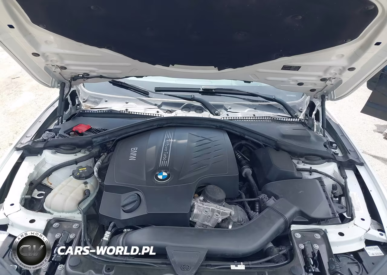 2014 BMW 435I xDrive VIN:WBA3R5C56EK188300 - 10