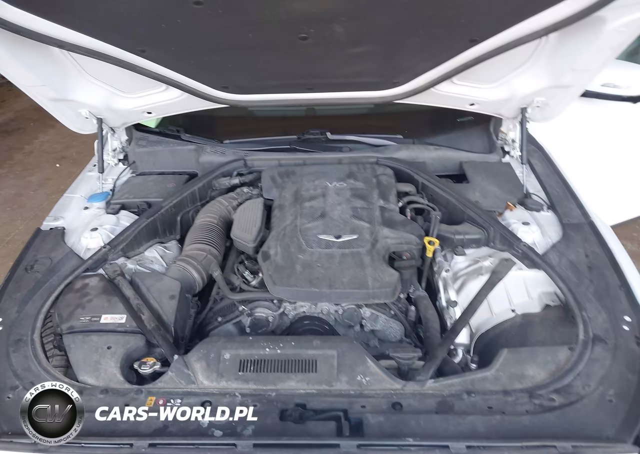 2019 Genesis G80 3.8 VIN:KMTFN4JE4KU327740 - 10