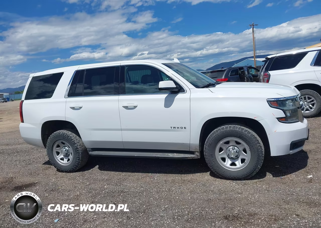 2020 Chevrolet Tahoe 4Wd Commercial Fleet VIN:1GNSKEEC6LR114031 - 15