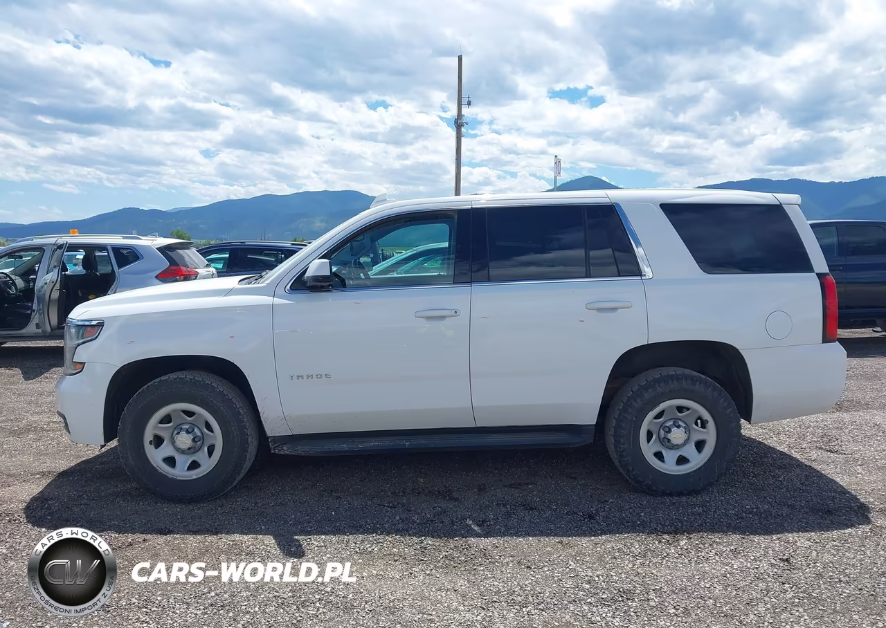 2020 Chevrolet Tahoe 4Wd Commercial Fleet VIN:1GNSKEEC6LR114031 - 16