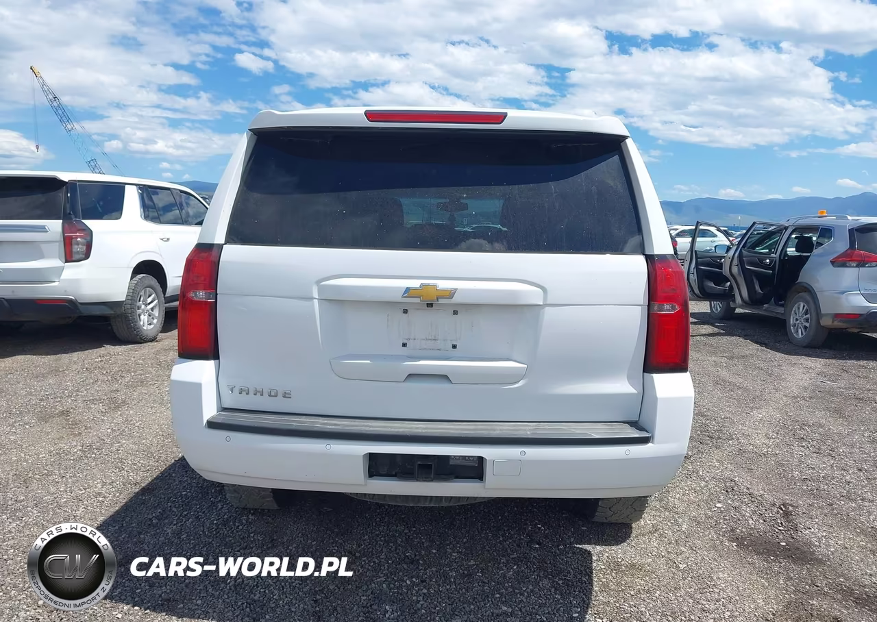 2020 Chevrolet Tahoe 4Wd Commercial Fleet VIN:1GNSKEEC6LR114031 - 18