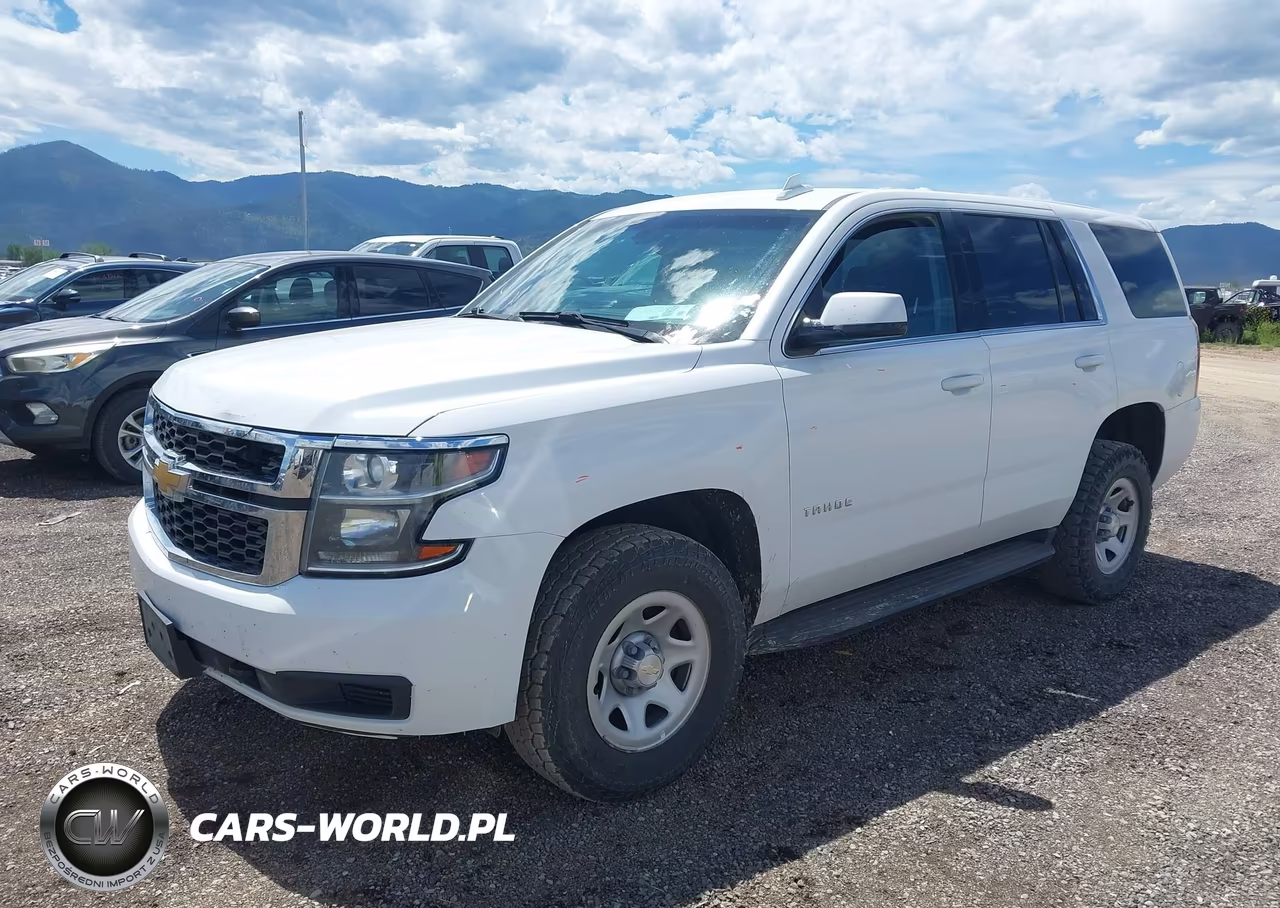 2020 Chevrolet Tahoe 4Wd Commercial Fleet VIN:1GNSKEEC6LR114031 - 2