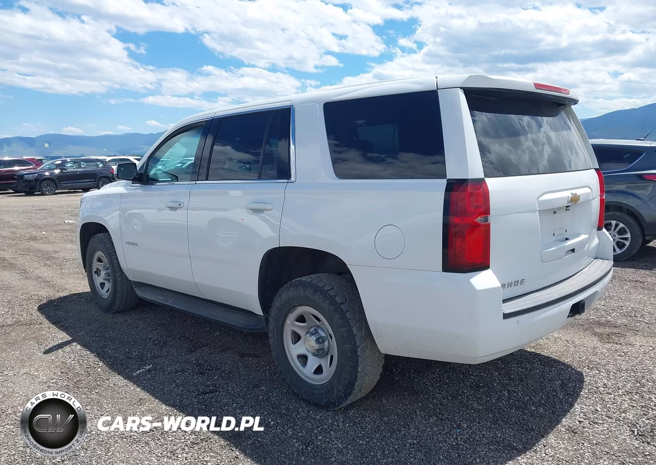 2020 Chevrolet Tahoe 4Wd Commercial Fleet VIN:1GNSKEEC6LR114031 - 3