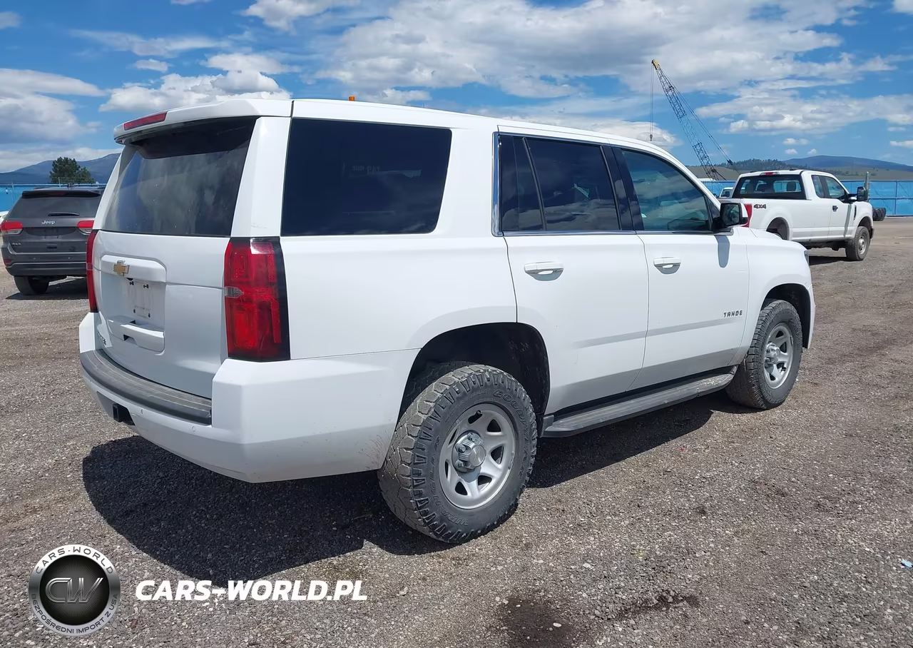 2020 Chevrolet Tahoe 4Wd Commercial Fleet VIN:1GNSKEEC6LR114031 - 4