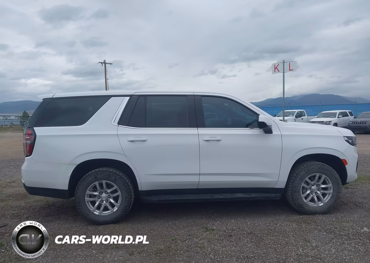 2023 Chevrolet Tahoe 4Wd Commercial Fleet VIN:1GNSKLED6PR149249 - 18