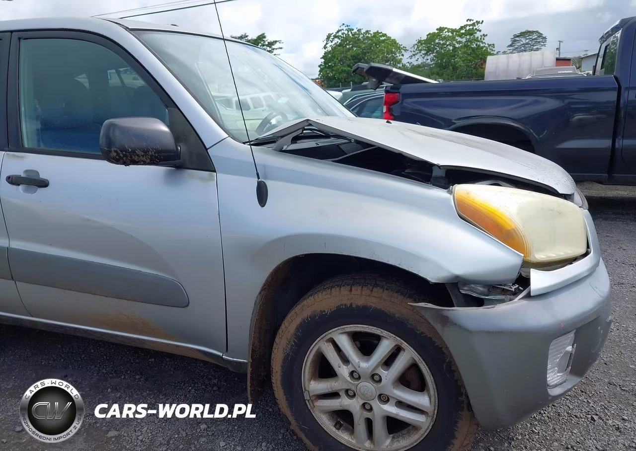 2002 Toyota Rav4 VIN:JTEGH20V920044690 - 17