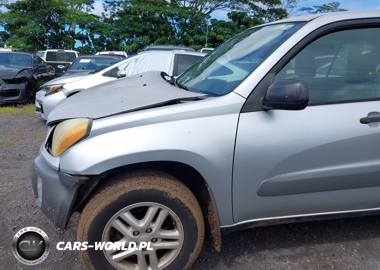 2002 Toyota Rav4 VIN:JTEGH20V920044690 - 18